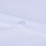 White Formal Shirt With Micro Blue Checks Details - YNG Empire